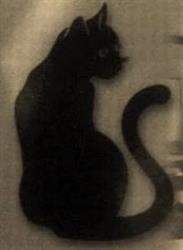 Horario de apertura El Gato Negro, Gijón