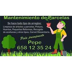 Horario de apertura Mantenimiento de Parcelas Pepillo Chato, Villamartín