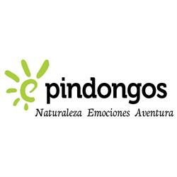 Horario de apertura Pindongos, Villanueva del Trabuco