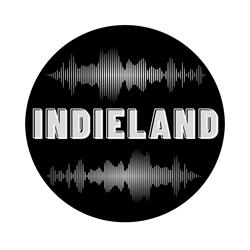 Horario de apertura Indieland Music, Alzira