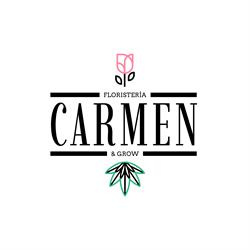 Horario de apertura Floristeria Grow Carmen, L'Hospitalet de Llobregat