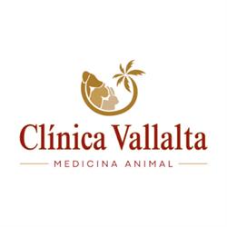 Horario de apertura CLÍNICA VALLALTA - Veterinario Sant Cebrià, Sant Cebria de Vallalta