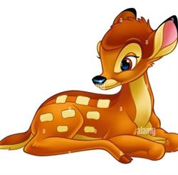 Horario de apertura Diverbambi Sl, Almería