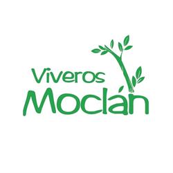 Horario de apertura Viveros Moclán, Santa María de la Alameda
