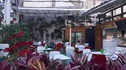 Horario de apertura Garden Café, Alicante