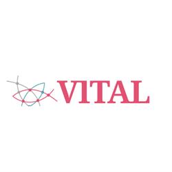 Horario de apertura Vital Centro Médico Estético, Santa Cruz de Tenerife