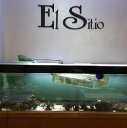 Horario de apertura Restaurante EL Sitio, Castelldefels