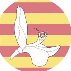 Horario de apertura La Ginesta Beauty, El Masnou