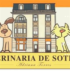 Horario de apertura La Veterinaria de Sotrondio, 