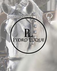 Horario de apertura Guarnicionería Pedro Luque, Baena