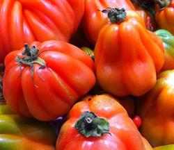 Horario de apertura Fruites I Verdures DIEGO, Sabadell