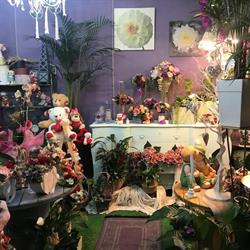 Horario de apertura Floristería Patricia, Los Alcázares