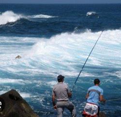 Horario de apertura Todo Pesca Tenerife, Santa Cruz de Tenerife