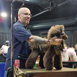 Horario de apertura Caninet perruqueria canina, Vilassar de Mar