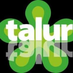 Horario de apertura Asociacion Talur, Vitoria-Gasteiz