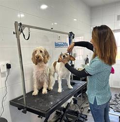Horario de apertura Limpiadog Buenavista. Peluquería canina, Autolavado y tienda., Oviedo
