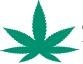 Cannabis Light Spain en Valencia (Ciutat Vella) - Horario de apertura