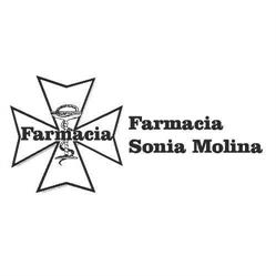 Horario de apertura Farmacia Molina Fernández, Santillana del Mar