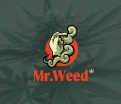 Horario de apertura Mr. Weed CBD Madrid,