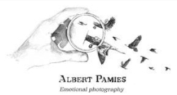 Horario de apertura Albert Pamies Fotógrafo de bodas en Málaga y Marbella, Benajarafe