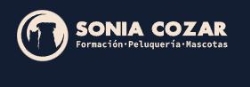 Horario de apertura Sonia Cozar Baixauli, Silla