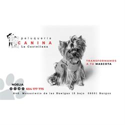 Horario de apertura Peluqueria Canina La Castellana, Burgos