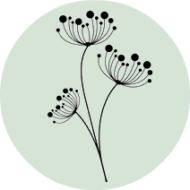 Horario de apertura eCo Consulting Cosmetics, Valencia