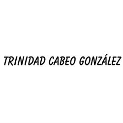 Horario de apertura TRINIDAD CABEO GONZÁLEZ, Viator