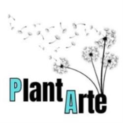 Horario de apertura Plantarte Jardín Y Huerto, Vilches