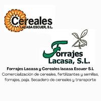 Horario de apertura Forrajes Cereales Lacasa, Poleñino