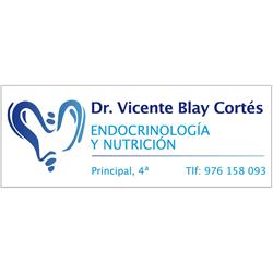 Horario de apertura Vicente Blay Cortés, Zaragoza