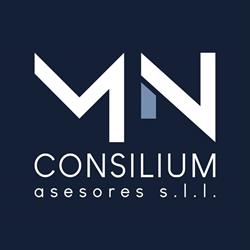 Horario de apertura MN Consilium Asesores S.L.L., Zaragoza
