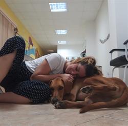 Horario de apertura Peluquería Canina Pels Pèls, Almussafes
