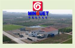 Horario de apertura Frutas Minguet, Xilxes