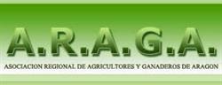 Araga en Zaragoza (Casco Antiguo) - Horario de apertura