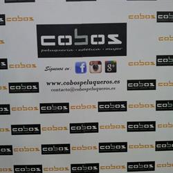 Cobos Peluqueros en Valencia (Jesús) - Horario de apertura