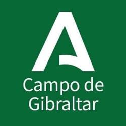 Horario de apertura Junta de Andalucía - Subdelegación del Gobierno en el Campo de Gibraltar, Algeciras