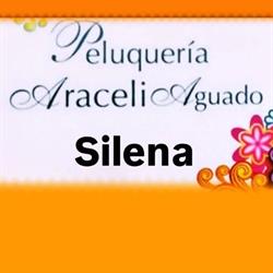 Horario de apertura Peluquería Araceli, Reinosa