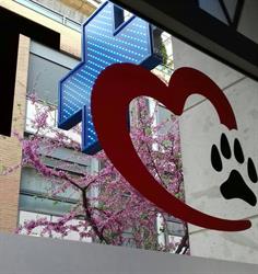 Clínica Veterinaria Tetuán en Madrid (Tetuán) - Horario de apertura