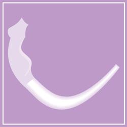 Horario de apertura Clínica Stetic & Orthodontic, Arrecife