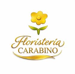 Horario de apertura Flores Carabino, Alhaurín El Grande