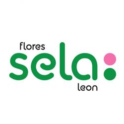 Horario de apertura Flores Sela - León,