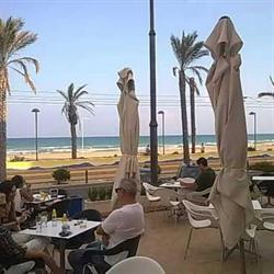 Horario de apertura Cafe y Mar Lounge Sl, El Campello