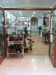 Horario de apertura Jose Flors I Decoraçio, Xàtiva