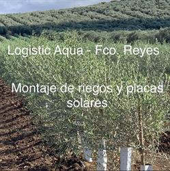 Horario de apertura Logistic Aqua - Fco. Reyes, Estepa