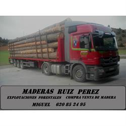 Horario de apertura Maderas Ruiz Pérez, Regumiel de la Sierra