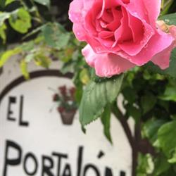 Horario de apertura Mesón El Portalón, San Leonardo de Yagüe