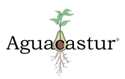 Horario de apertura Aguacastur, Santa Eulalia de Cabranes