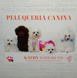 Horario de apertura Peluqueria Canina Kathy Marchena, 