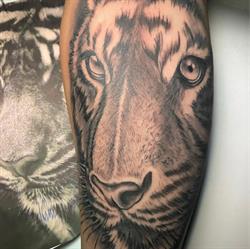 Horario de apertura Black Sunrise Tattoo & Piercing Segovia, 